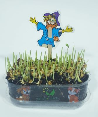 דשא לכלבים וחתולים 30 גרם