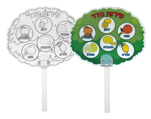 מניפת פירות הדר ליצירה - 36 יח'