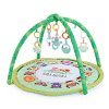 משטח פעילות – Animals & Smiles