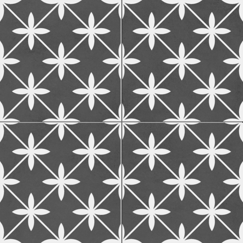 קרמיקה מצויירת סדרת Star