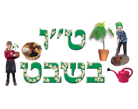 כרזה - 