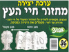 36 יצירה מחזור חיי העץ/ אפונה