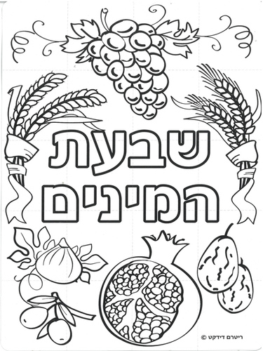 פאזל שבעת המינים ליצירה