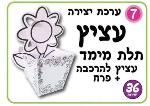ערכת יצירה עציץ
