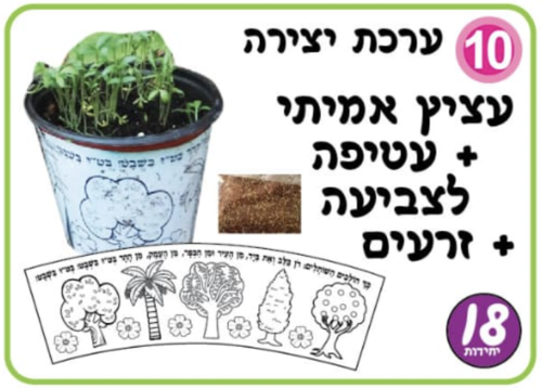 יצירה עציץ+זרעים