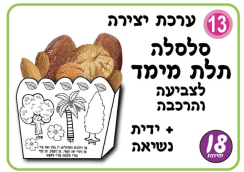 סלסלה תלת מימד