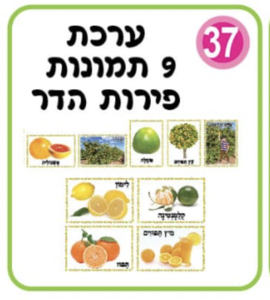 ערכת תמונות פירות הדר