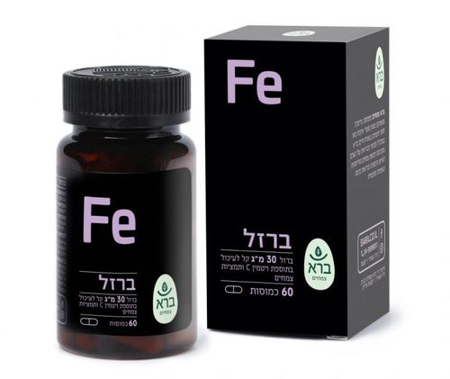 ברזל 30 מ