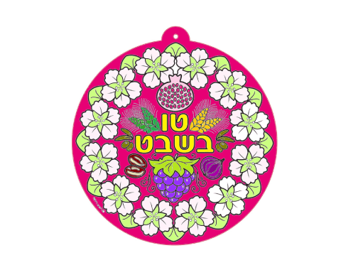 מנדלה ט