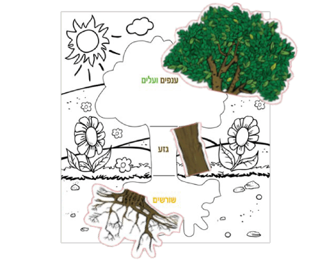 ערכת יצירה - עץ וחלקיו - 36 יח'