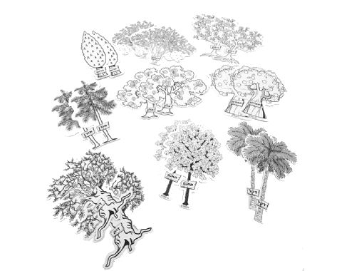 עצי ארצנו לצביעה - 18 יח'