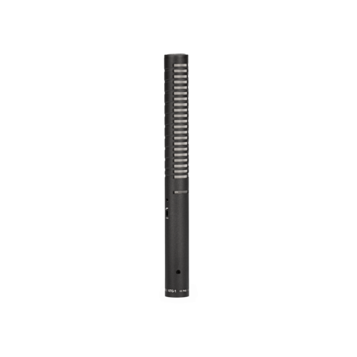 RODE NTG1 (Shotgun Mic)