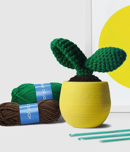 עציץ צבעי הקשת לסריגה עצמית Crochet Cacti Rainbow