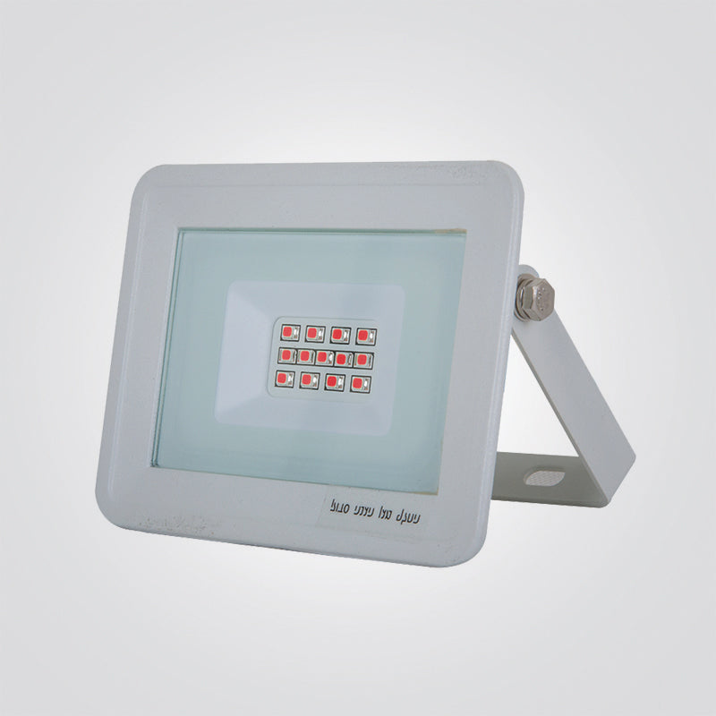 פנס הצפה צבעוני לבן 10W 220V ורוד