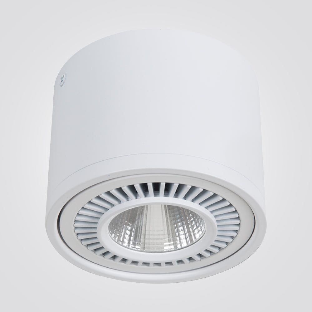 צילינדר חיצוני תמר 12W לבן אור חם 