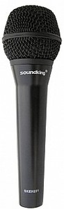   מיקרופון קונדנסר מקצועי לשירה Soundking SK EH201