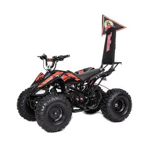טרקטורון TR-290 48V TOMRIDE (1200W) 30A ליתיום