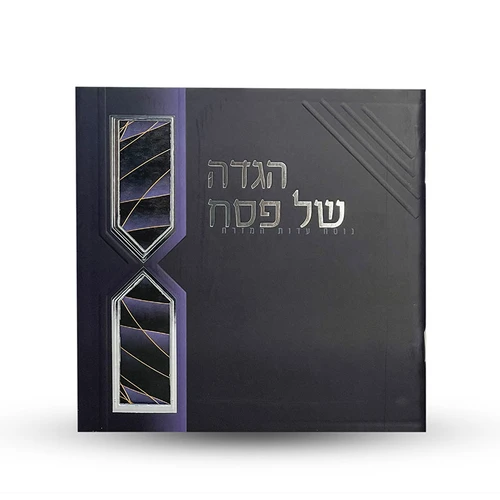 הגדה של פסח- דגם חוטים (L)
