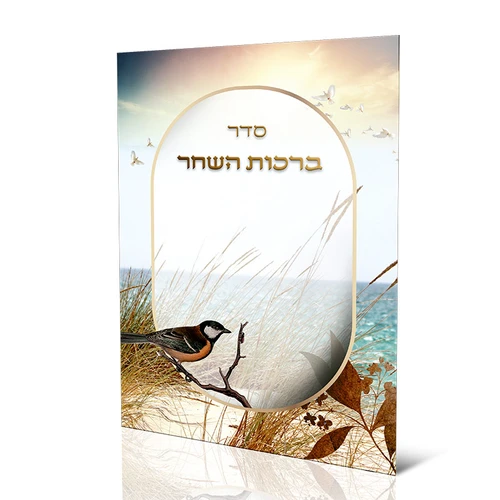 סדר ברכות השחר