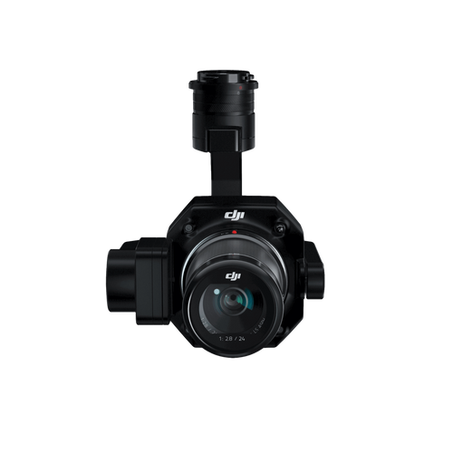 ZENMUSE P1