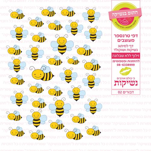 דף טרנספר דבורים 02