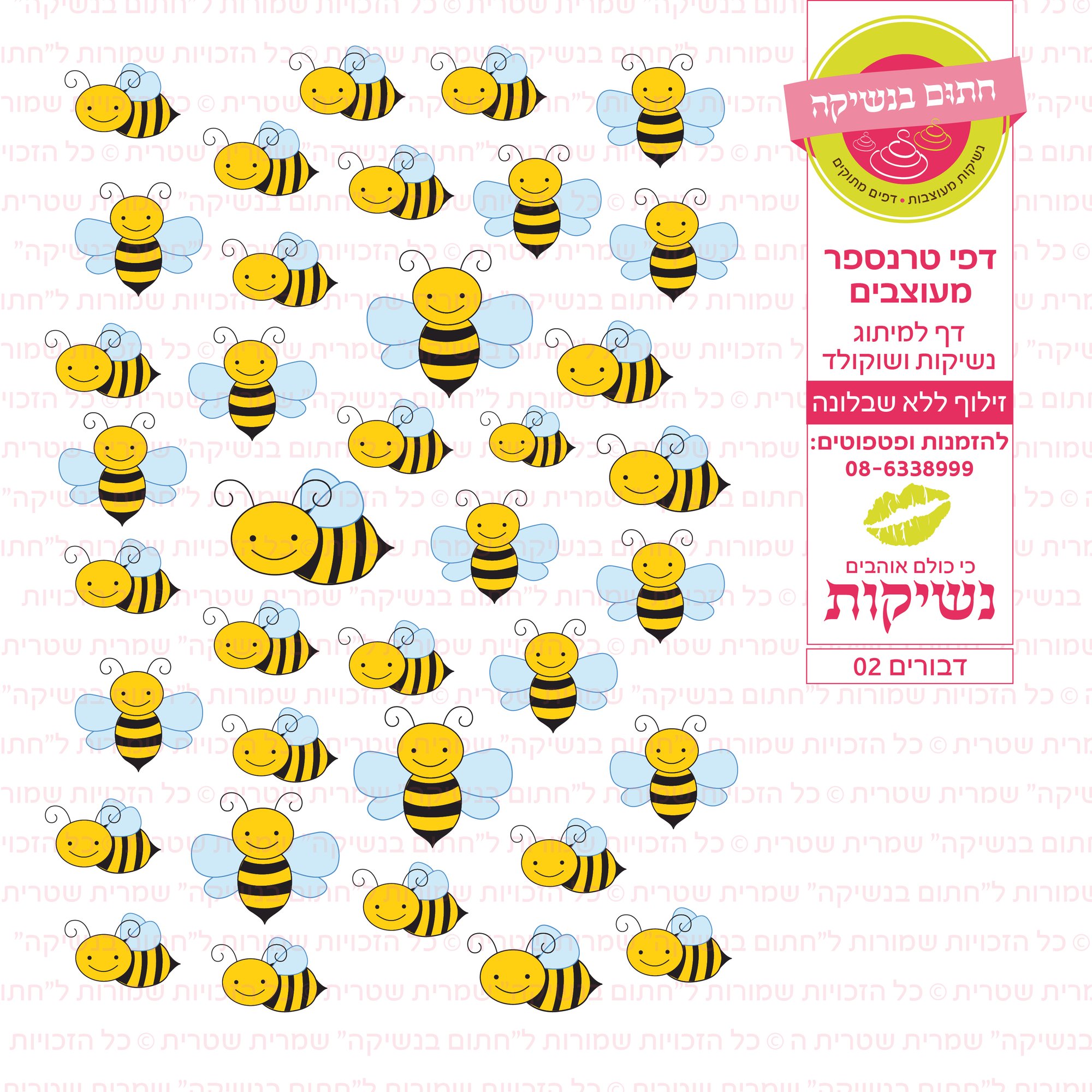 דף טרנספר דבורים 02