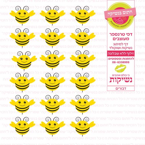 דף טרנספר דבורים