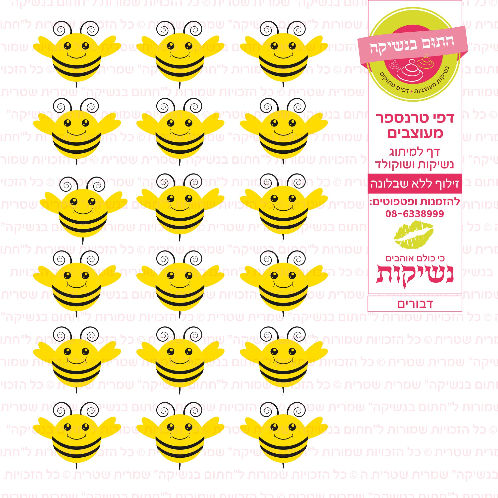 דף טרנספר דבורים