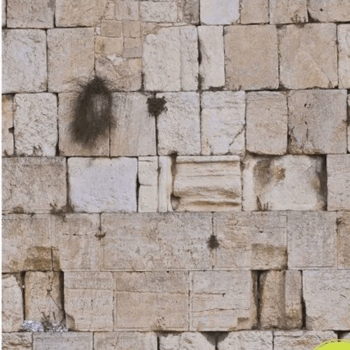 כותל