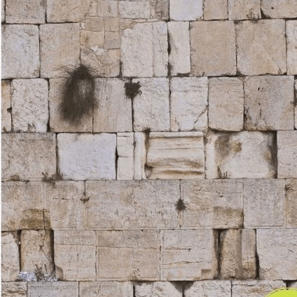 כותל
