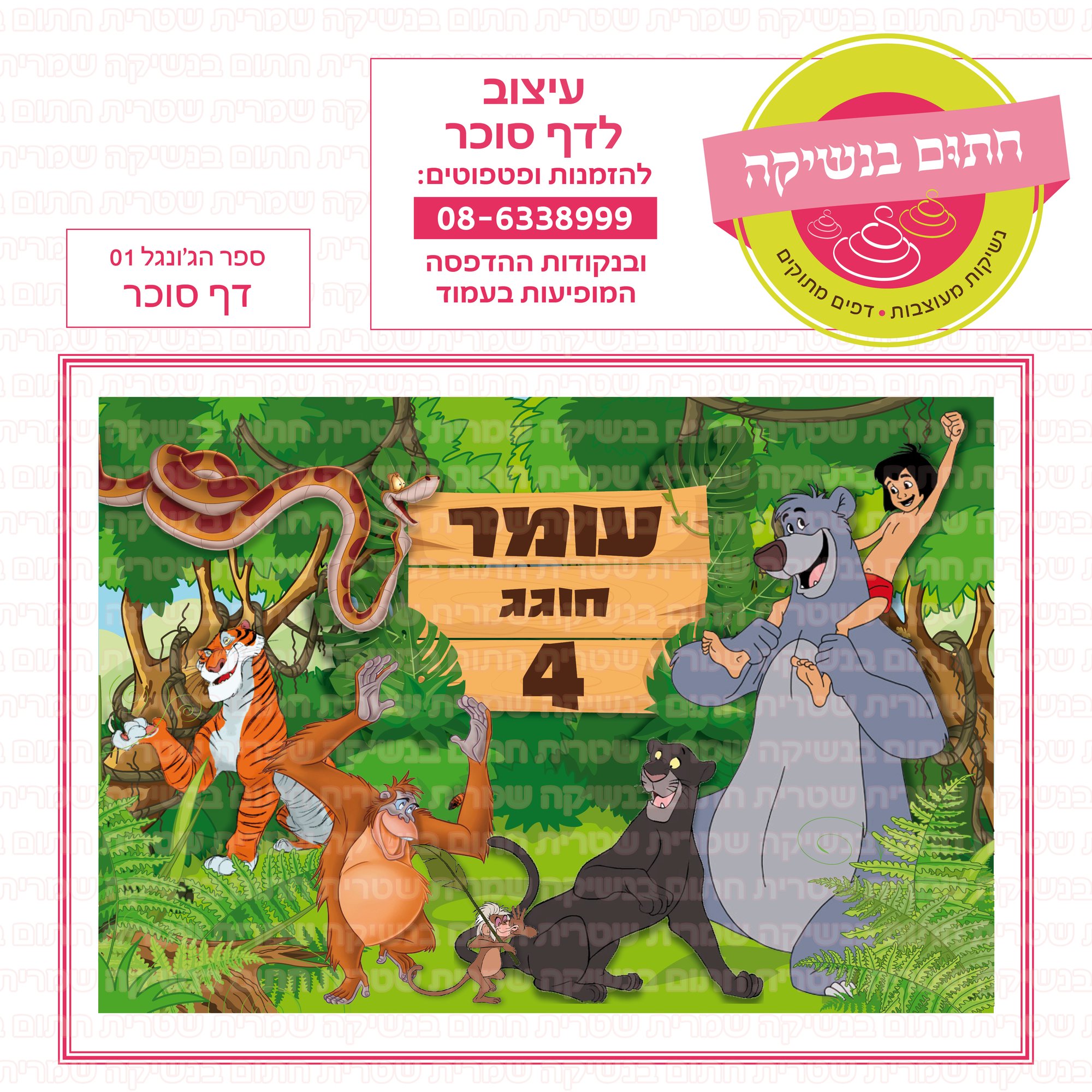 ספר ג