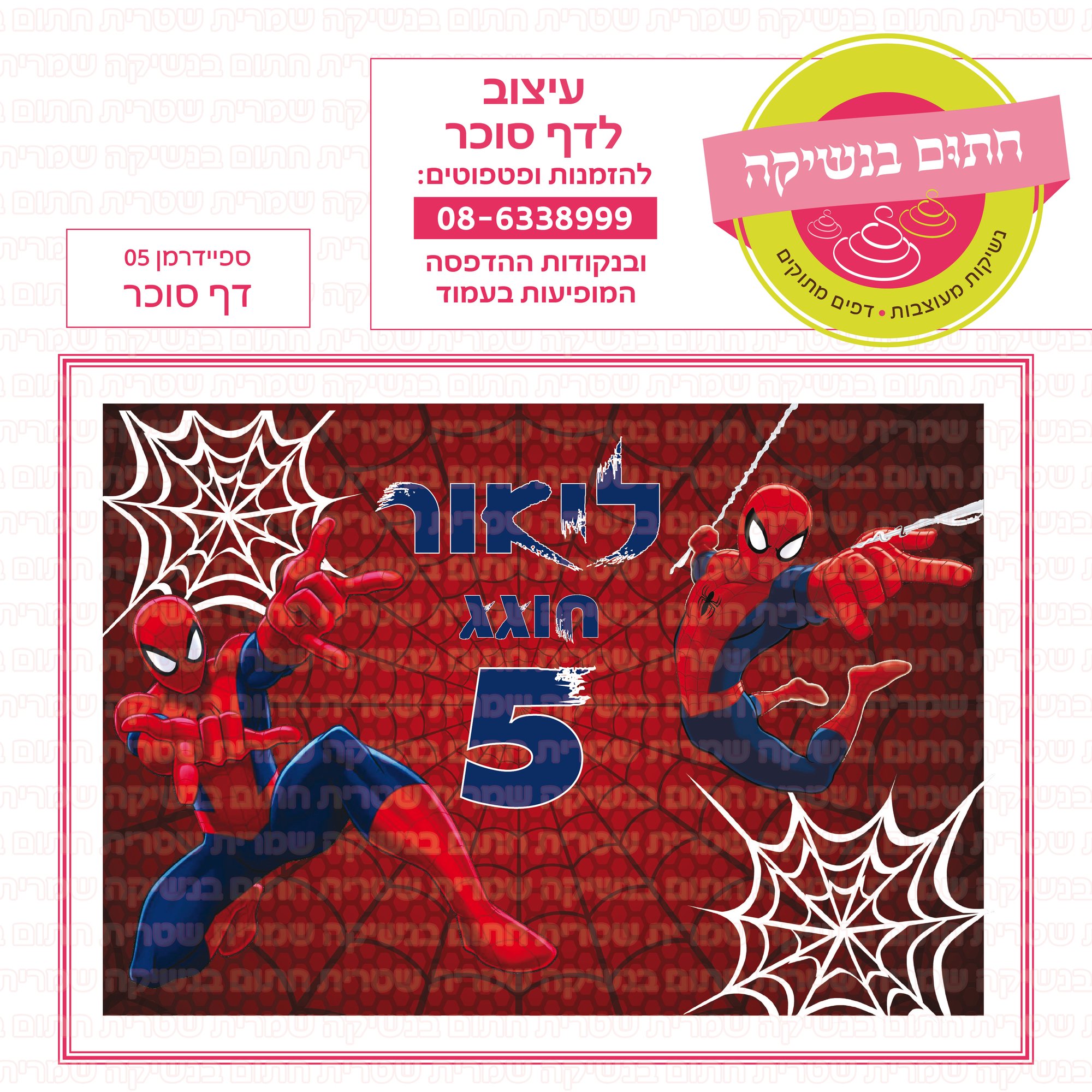 ספיידרמן 05