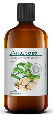 שורש אסטרגלוס תמצית נוזלית ברא צמחים 100 מ''ל  - Bara Astragalus Membranaceus Radix