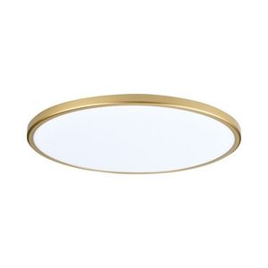 צמוד תקרה עגול דק זהב TIME 64W 80CM 12CCT- גוון אור משתנה בלחיצה על ידי שלט רחוק , 16 דרגות עמעום ,  בעל מצב לילה . Nisko 
