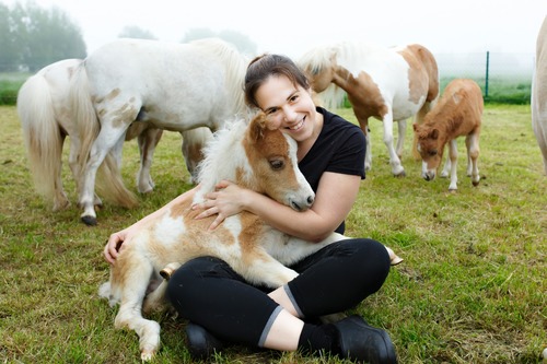 סדנת צילום סוסים עם רקדנית בשקיעה - ההרשמה נסגרה