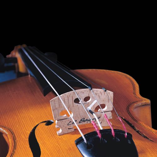 פיק אפ לכינור L.R.BAGGS Violin Pickup with Carpenter Jack