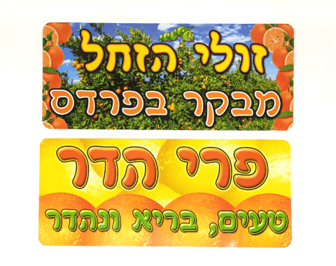 ערכת סיפור בהמחשה - זולי הזחל מבקר בפרדס
