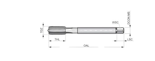 מברז מכונה 3.0X 0.50 3FL DIN376 HSCO דגם E250M3 