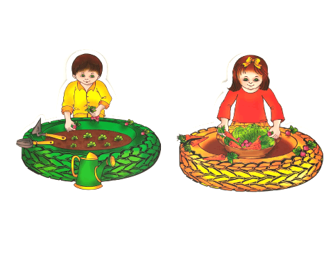 ערכת המחשה - 
