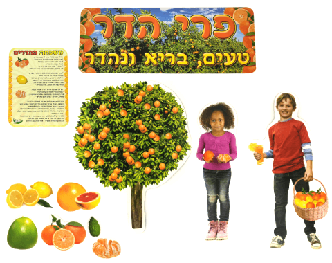 ערכת סיפור בהמחשה - פרי הדר