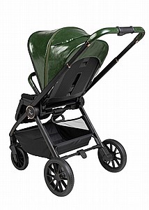 CIELO PRO 2023 Sport-Line - עור ירוק