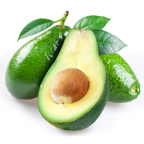 אבוקדו ריד אורגני מבצע 