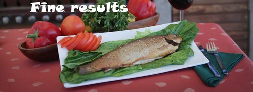 אביזרים לגריל אביזרים למעשנה גריל מאסטר