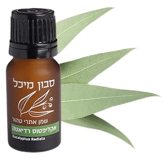 שמן אתרי אקליפטוס רדיאטה | סבון מיכל