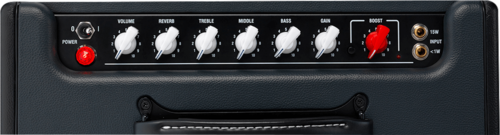 מגבר מנורות 10W רמקול 10″ מדגם CUB
