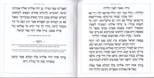 הגדה של פסח- דגם חוטים (L)