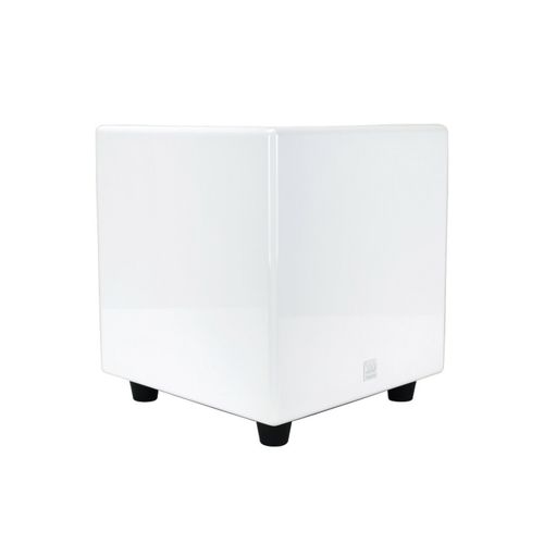 MOREL - SUB 10X
