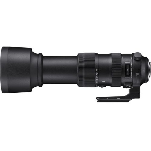 עדשה Sigma 60-600mm f/4.5-6.3 DG DN OS Sports for Sony E