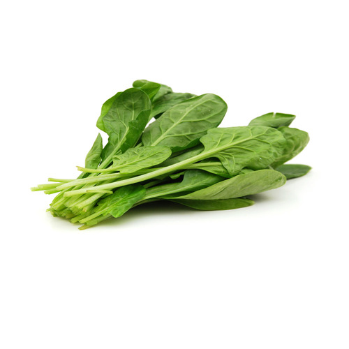 רוקט