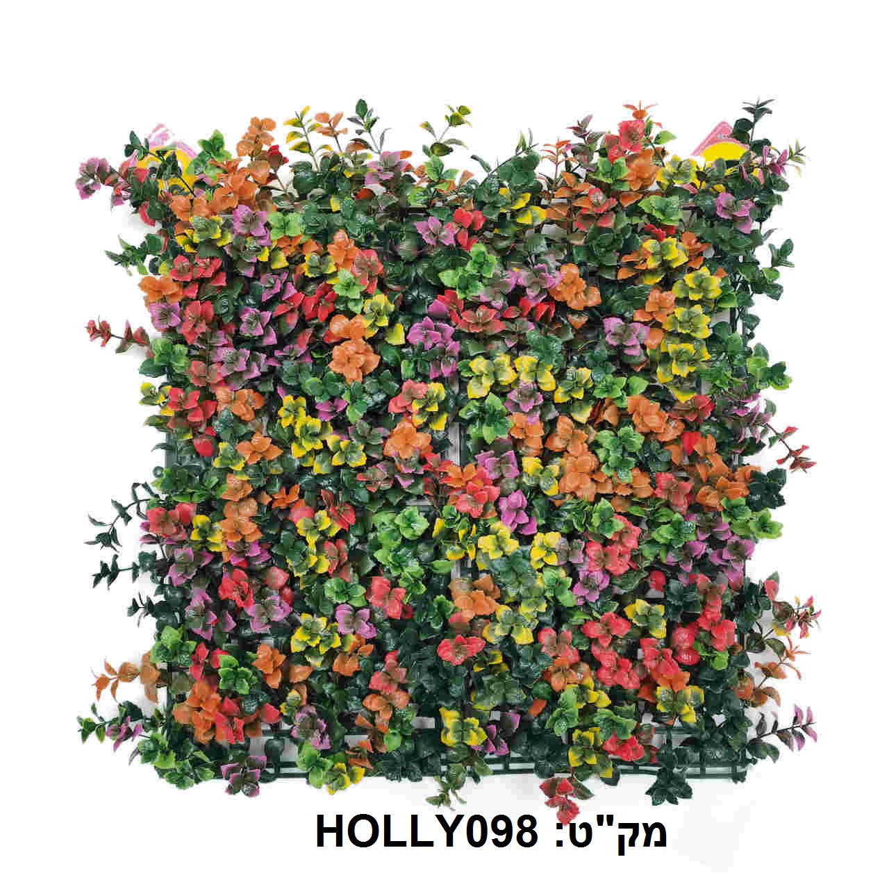 קוקטייל צמחים לעיצוב קירות פנים/חוץ 50X50